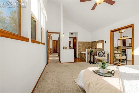 Tiny photo for 880 Sun Valley Drive, Woodland Park, CO 80863 (MLS # 7383121)