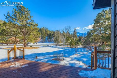 Tiny photo for 880 Sun Valley Drive, Woodland Park, CO 80863 (MLS # 7383121)