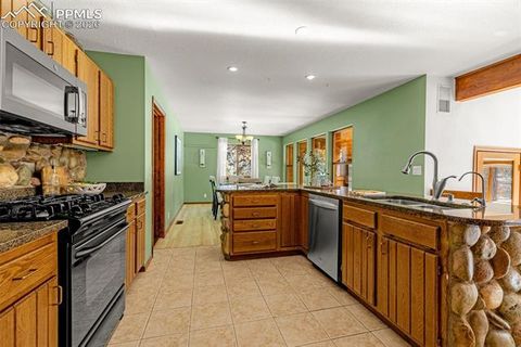 Tiny photo for 880 Sun Valley Drive, Woodland Park, CO 80863 (MLS # 7383121)