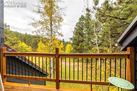 Tiny photo for 880 Sun Valley Drive, Woodland Park, CO 80863 (MLS # 7383121)