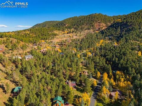 Tiny photo for 880 Sun Valley Drive, Woodland Park, CO 80863 (MLS # 7383121)