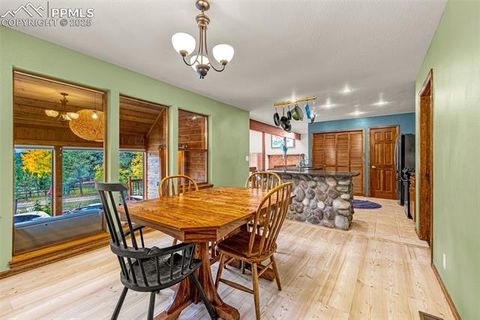 Tiny photo for 880 Sun Valley Drive, Woodland Park, CO 80863 (MLS # 7383121)