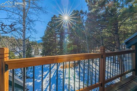 Tiny photo for 880 Sun Valley Drive, Woodland Park, CO 80863 (MLS # 7383121)
