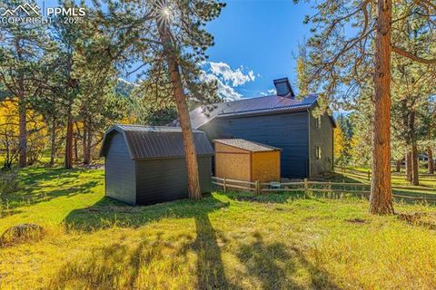 Tiny photo for 880 Sun Valley Drive, Woodland Park, CO 80863 (MLS # 7383121)