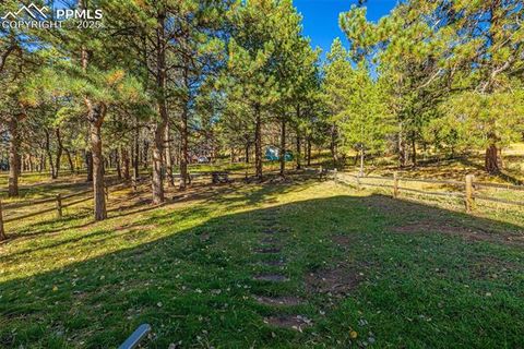 Tiny photo for 880 Sun Valley Drive, Woodland Park, CO 80863 (MLS # 7383121)