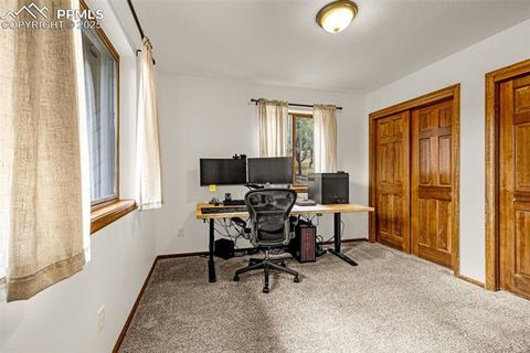 Tiny photo for 880 Sun Valley Drive, Woodland Park, CO 80863 (MLS # 7383121)