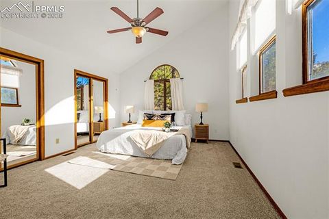 Tiny photo for 880 Sun Valley Drive, Woodland Park, CO 80863 (MLS # 7383121)