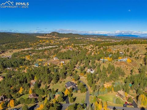 Tiny photo for 880 Sun Valley Drive, Woodland Park, CO 80863 (MLS # 7383121)