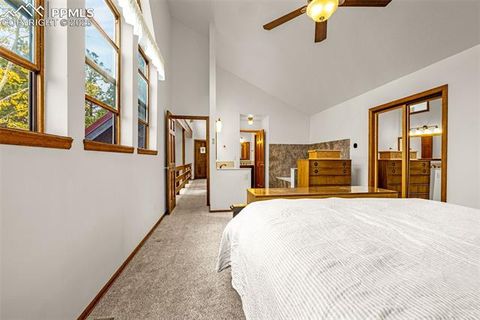 Tiny photo for 880 Sun Valley Drive, Woodland Park, CO 80863 (MLS # 7383121)