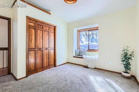 Tiny photo for 429 Evergreen Court, Woodland Park, CO 80863 (MLS # 6153436)