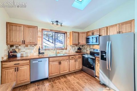 Tiny photo for 429 Evergreen Court, Woodland Park, CO 80863 (MLS # 6153436)