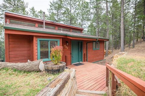Tiny photo for 429 Evergreen Court, Woodland Park, CO 80863 (MLS # 6153436)