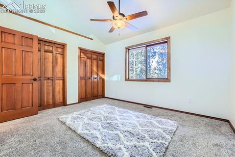 Tiny photo for 429 Evergreen Court, Woodland Park, CO 80863 (MLS # 6153436)