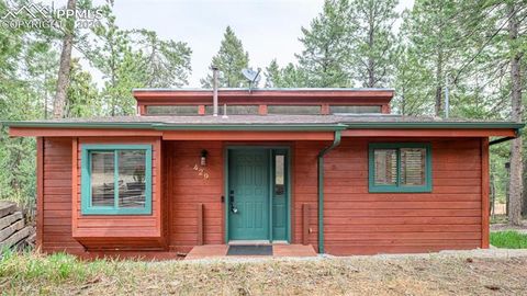 Photo of 429 Evergreen Court, Woodland Park, CO 80863 (MLS # 6153436)