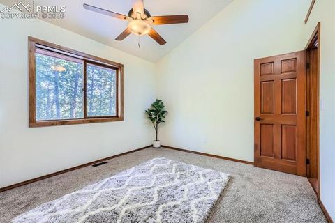 Tiny photo for 429 Evergreen Court, Woodland Park, CO 80863 (MLS # 6153436)