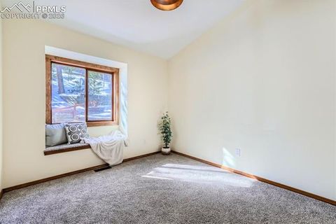Tiny photo for 429 Evergreen Court, Woodland Park, CO 80863 (MLS # 6153436)