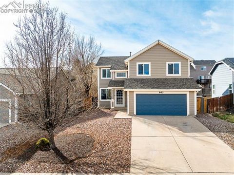 Photo of 865 Regent Court, Fountain, CO 80817 (MLS # 9541101)