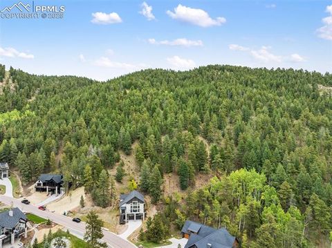 Tiny photo for 1015 Locklin Way, Woodland Park, CO 80863 (MLS # 8555277)
