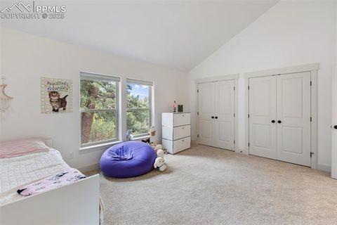 Tiny photo for 1015 Locklin Way, Woodland Park, CO 80863 (MLS # 8555277)