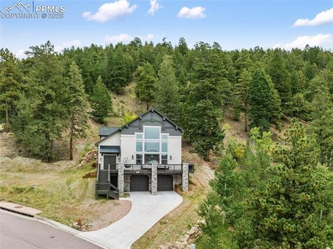Tiny photo for 1015 Locklin Way, Woodland Park, CO 80863 (MLS # 8555277)