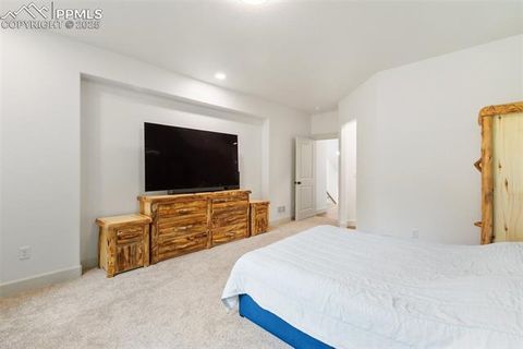 Tiny photo for 1015 Locklin Way, Woodland Park, CO 80863 (MLS # 8555277)