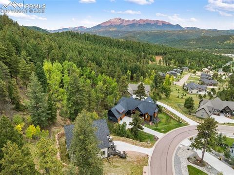 Tiny photo for 1015 Locklin Way, Woodland Park, CO 80863 (MLS # 8555277)