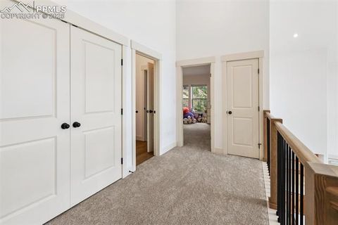 Tiny photo for 1015 Locklin Way, Woodland Park, CO 80863 (MLS # 8555277)