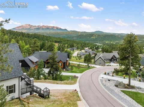 Tiny photo for 1015 Locklin Way, Woodland Park, CO 80863 (MLS # 8555277)