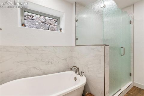 Tiny photo for 1015 Locklin Way, Woodland Park, CO 80863 (MLS # 8555277)