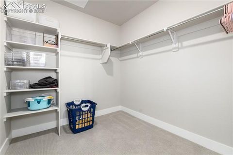 Tiny photo for 20 Wilcox Street #503, Castle Rock, CO 80104 (MLS # 9754313)