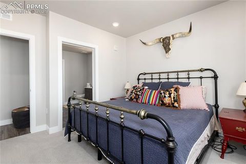 Tiny photo for 20 Wilcox Street #503, Castle Rock, CO 80104 (MLS # 9754313)