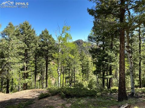 Photo of 210 Waterfall Loop, Manitou Springs, CO 80829 (MLS # 7719406)