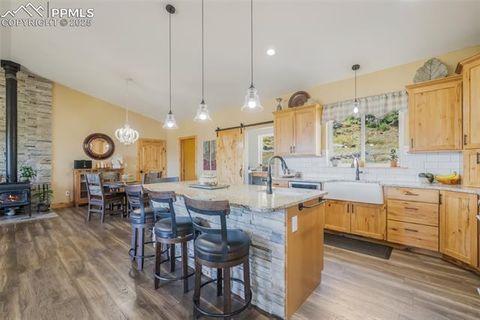 Tiny photo for 325 Spring Valley Drive, Florissant, CO 80816 (MLS # 8044569)