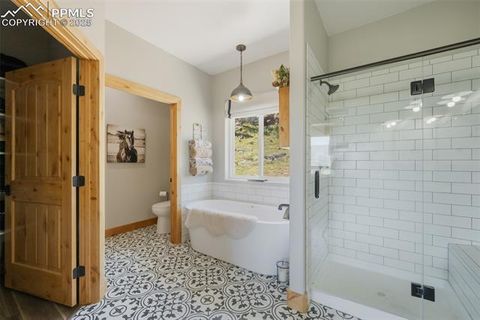 Tiny photo for 325 Spring Valley Drive, Florissant, CO 80816 (MLS # 8044569)
