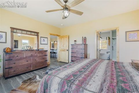 Tiny photo for 325 Spring Valley Drive, Florissant, CO 80816 (MLS # 8044569)