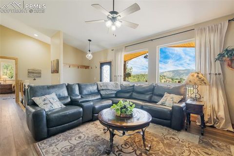 Tiny photo for 325 Spring Valley Drive, Florissant, CO 80816 (MLS # 8044569)