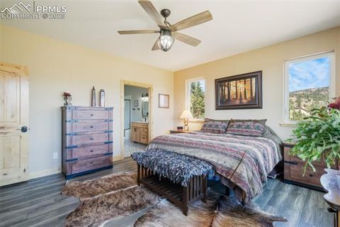 Tiny photo for 325 Spring Valley Drive, Florissant, CO 80816 (MLS # 8044569)