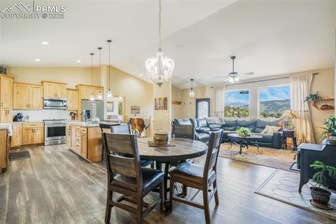 Tiny photo for 325 Spring Valley Drive, Florissant, CO 80816 (MLS # 8044569)