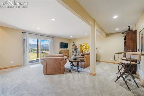 Tiny photo for 325 Spring Valley Drive, Florissant, CO 80816 (MLS # 8044569)