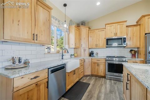 Tiny photo for 325 Spring Valley Drive, Florissant, CO 80816 (MLS # 8044569)