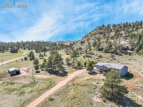 325 Spring Valley Drive Florissant CO 80816