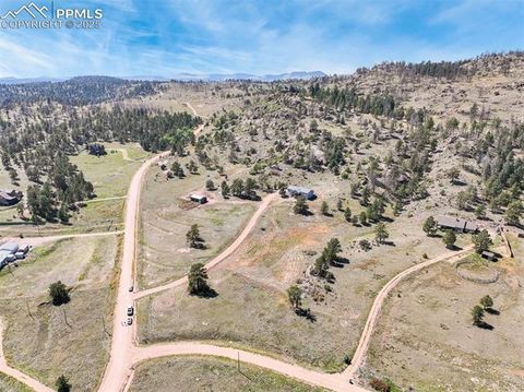 Tiny photo for 325 Spring Valley Drive, Florissant, CO 80816 (MLS # 8044569)