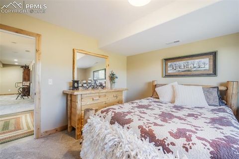 Tiny photo for 325 Spring Valley Drive, Florissant, CO 80816 (MLS # 8044569)