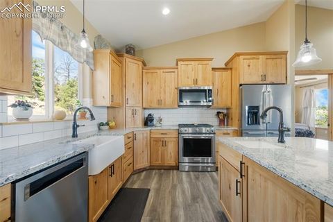 Tiny photo for 325 Spring Valley Drive, Florissant, CO 80816 (MLS # 8044569)
