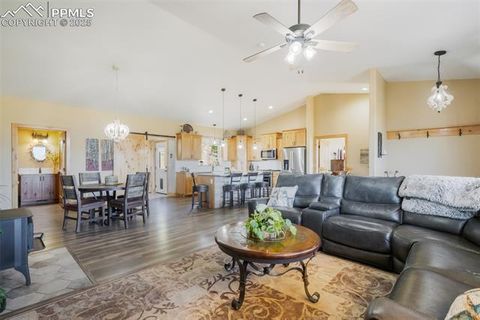 Tiny photo for 325 Spring Valley Drive, Florissant, CO 80816 (MLS # 8044569)