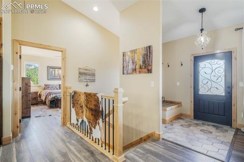 Tiny photo for 325 Spring Valley Drive, Florissant, CO 80816 (MLS # 8044569)