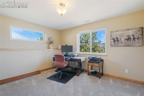 Tiny photo for 325 Spring Valley Drive, Florissant, CO 80816 (MLS # 8044569)