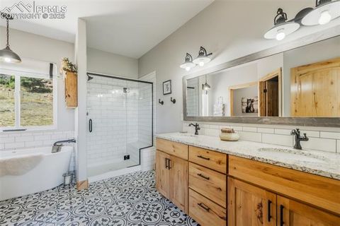 Tiny photo for 325 Spring Valley Drive, Florissant, CO 80816 (MLS # 8044569)