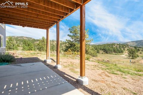 Tiny photo for 325 Spring Valley Drive, Florissant, CO 80816 (MLS # 8044569)