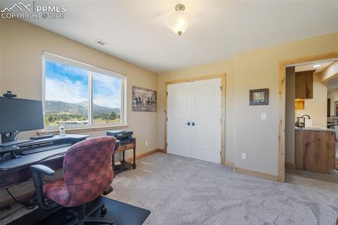 Tiny photo for 325 Spring Valley Drive, Florissant, CO 80816 (MLS # 8044569)